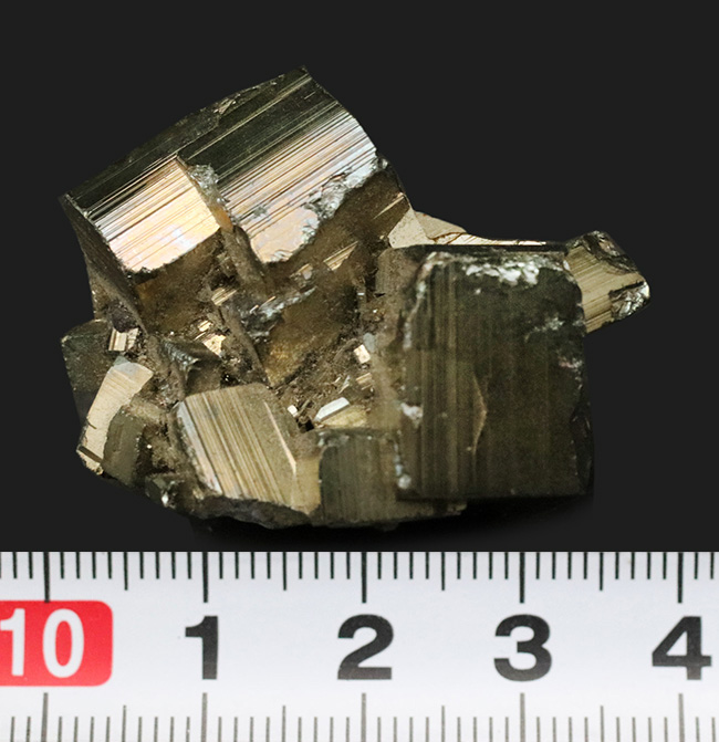 ゴールドハンターが間違えた？！硫黄と鉄の間の子、黄鉄鉱の自然標本