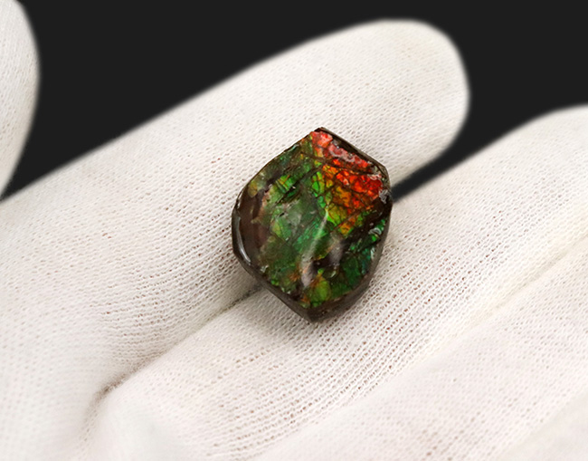 カナダの大自然が生み出した宝石、アンモライト（Ammolite）を用いたピンブローチ（その3）