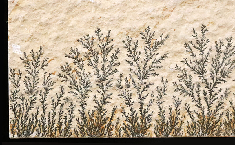 まるで一幅の山水画。1億5000万年前の石灰岩に浮かぶ『自然の森林』、デンドライト（Dendrite）（その2）