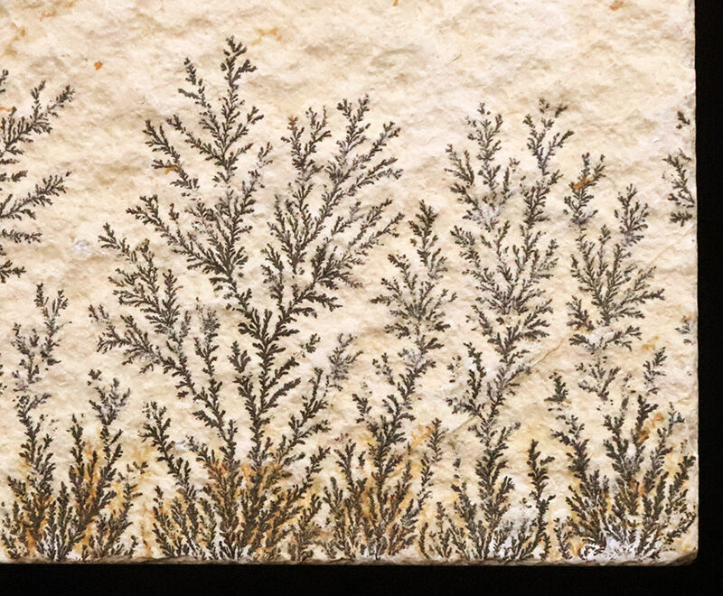 まるで一幅の山水画。1億5000万年前の石灰岩に浮かぶ『自然の森林』、デンドライト（Dendrite）（その3）