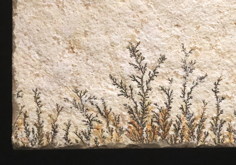 まるで一幅の山水画。1億5000万年前の石灰岩に浮かぶ『自然の森林』、デンドライト（Dendrite）（その6）