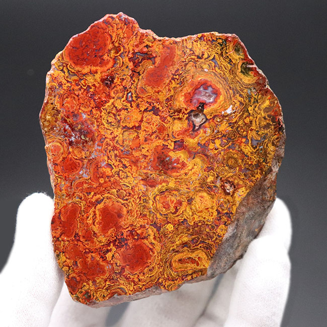 群を抜く美しい赤と橙、ハンガリー産の希少なレッドメノウ(Agate)。丸い模様のストロマトライトにもご注目!(その1)