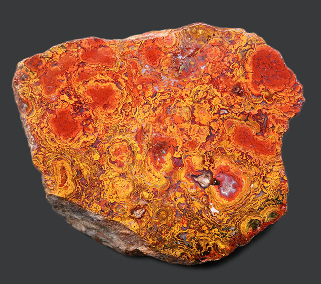 群を抜く美しい赤と橙、ハンガリー産の希少なレッドメノウ(Agate)。丸い模様のストロマトライトにもご注目!(その2)