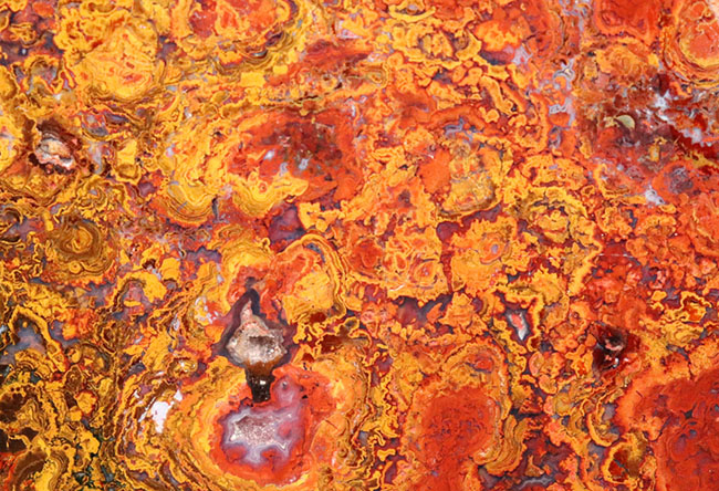 群を抜く美しい赤と橙、ハンガリー産の希少なレッドメノウ(Agate)。丸い模様のストロマトライトにもご注目!(その5)
