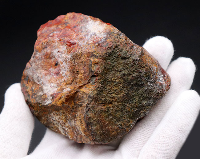 群を抜く美しい赤と橙、ハンガリー産の希少なレッドメノウ(Agate)。丸い模様のストロマトライトにもご注目!(その6)