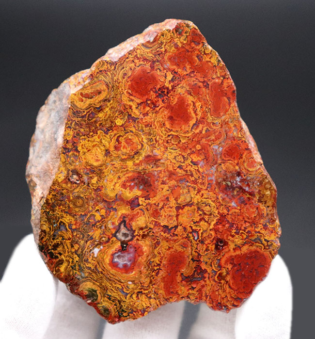 群を抜く美しい赤と橙、ハンガリー産の希少なレッドメノウ(Agate)。丸い模様のストロマトライトにもご注目!(その7)