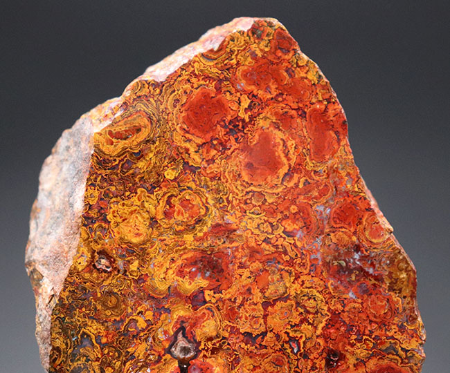 群を抜く美しい赤と橙、ハンガリー産の希少なレッドメノウ(Agate)。丸い模様のストロマトライトにもご注目!(その8)