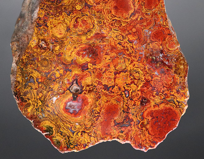 群を抜く美しい赤と橙、ハンガリー産の希少なレッドメノウ(Agate)。丸い模様のストロマトライトにもご注目!(その9)