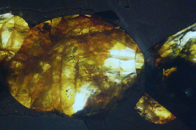 キラキラと輝くオリビンが美しい！パラサイト隕石を使ったペンダントトップ（シルバーチェーン＆高級ジュエリーケース付き）（その6）