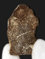 お客様の声　写真