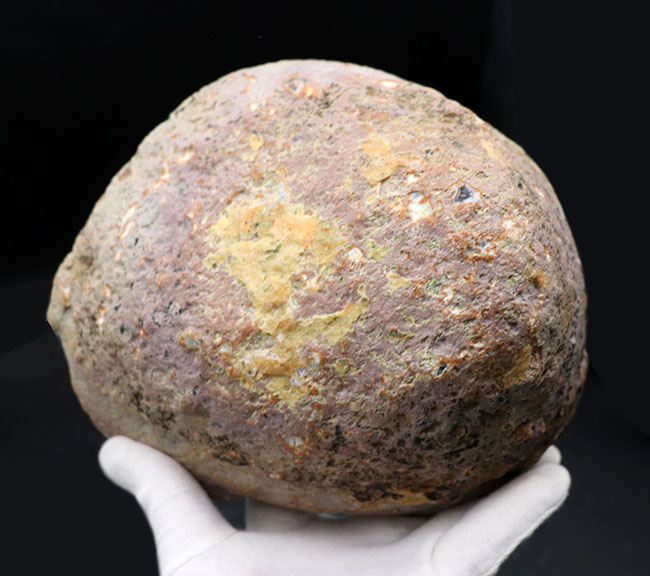 直径最大部19センチ、2kgを超える巨岩!溶岩の中央をすぱっと真ん中でカットし断面を磨いたメノウ(Agate)(その8)