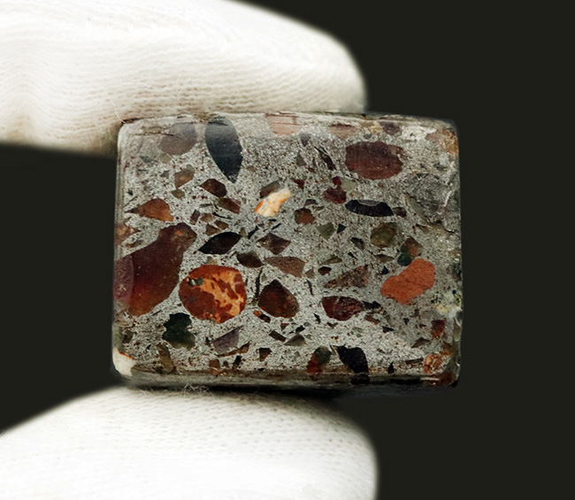 人気のキューブ型標本！世界で最も美しい隕石！ケニア産パラサイト（その6）