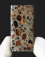 人気のキューブ型標本！世界で最も美しい隕石！ケニア産パラサイト