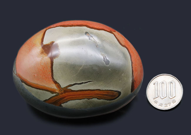 ラージサイズ、目玉のような模様で人気のポリクロームジャスパー(Polychrome jasper)。赤と緑の配色が面白い(その12)