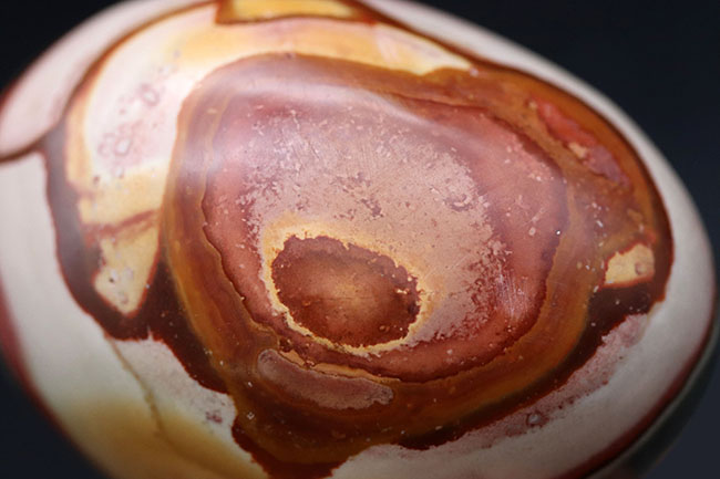 ラージサイズ、目玉のような模様で人気のポリクロームジャスパー(Polychrome jasper)。赤と緑の配色が面白い(その6)
