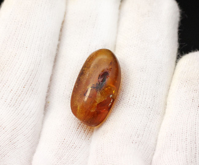 恐竜時代の古い古い琥珀、ビルマ琥珀。虫を内包しています。(その5)