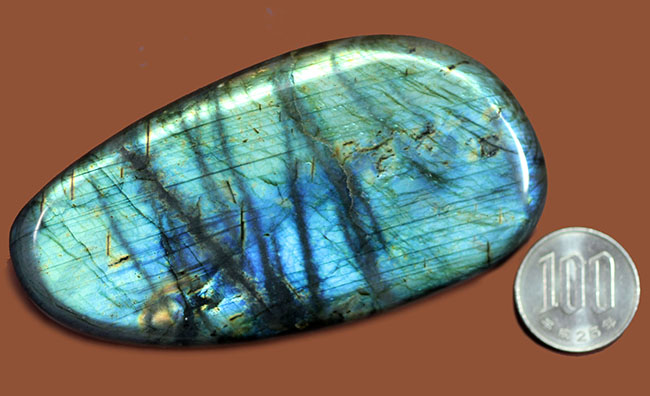 ラブラドレッセンスを存分に楽しめる、鉱物ラブラドライト（Labradorite）。ブルーとシャンパンゴールドの共演。（その12）