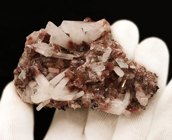 極めて上質！メキシコ・チワワ州「サンタ・エウラリア」産……白い刃状結晶が咲く、異極鉱ヘミモルファイト（Hemimorphite）標本（その3）