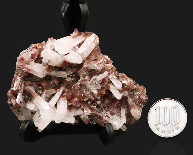 極めて上質！メキシコ・チワワ州「サンタ・エウラリア」産……白い刃状結晶が咲く、異極鉱ヘミモルファイト（Hemimorphite）標本（その7）