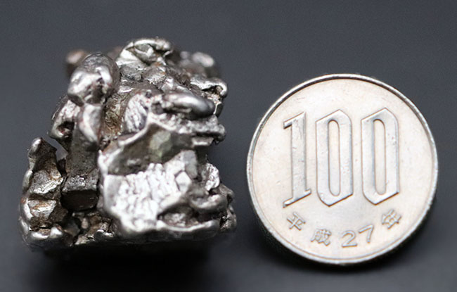 最も有名な鉄隕石の一つ、アルゼンチン産のカンポ・デル・シエロ（その8）