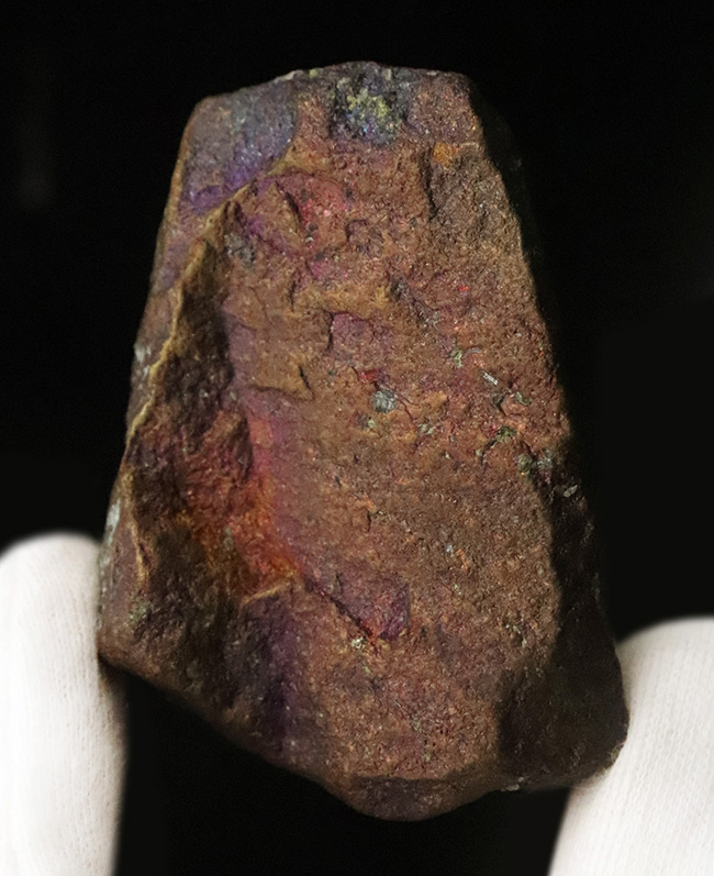 静かに光る“クジャク”｜モンタナ・ビュート産 斑銅鉱（Bornite）（その1）