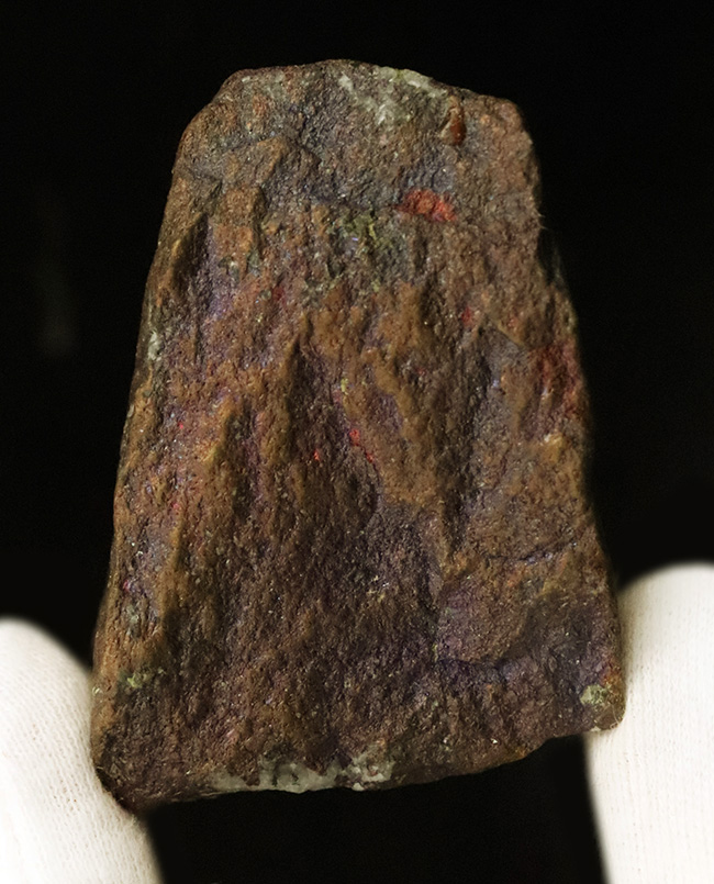 静かに光る“クジャク”｜モンタナ・ビュート産 斑銅鉱（Bornite）（その2）