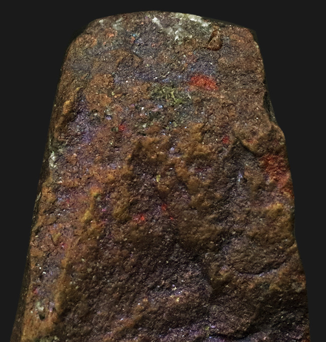 静かに光る“クジャク”｜モンタナ・ビュート産 斑銅鉱（Bornite）（その3）