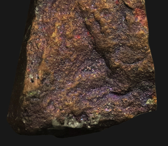 静かに光る“クジャク”｜モンタナ・ビュート産 斑銅鉱（Bornite）（その4）