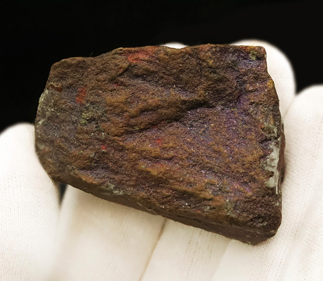 静かに光る“クジャク”｜モンタナ・ビュート産 斑銅鉱（Bornite）（その5）