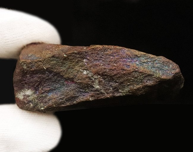 静かに光る“クジャク”｜モンタナ・ビュート産 斑銅鉱（Bornite）（その6）