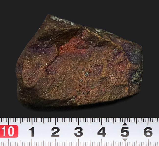 静かに光る“クジャク”｜モンタナ・ビュート産 斑銅鉱（Bornite）（その7）