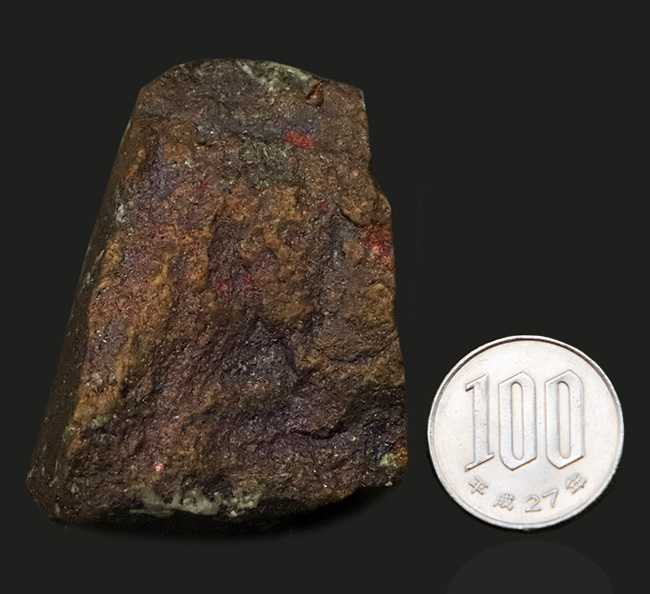 静かに光る“クジャク”｜モンタナ・ビュート産 斑銅鉱（Bornite）（その8）