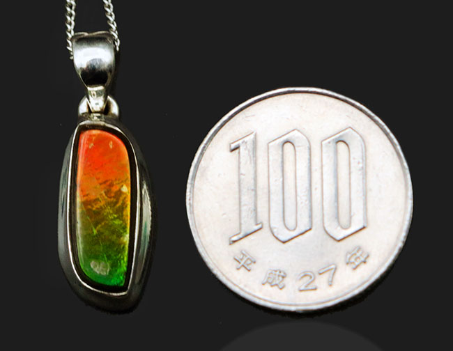 なめらかで美しいグラデーションを描く、カナダ産のアンモライト(Ammolite)を使ったペンダントトップ。金具はスターリングシルバー。チェーン、革紐、ジュエリーケース付き(その8)