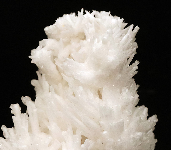 世界的に評価の高い鉱物産地、メキシコ・チワワ州で育まれた大型で密度の高いアラゴナイト／カルサイト結晶群（その3）