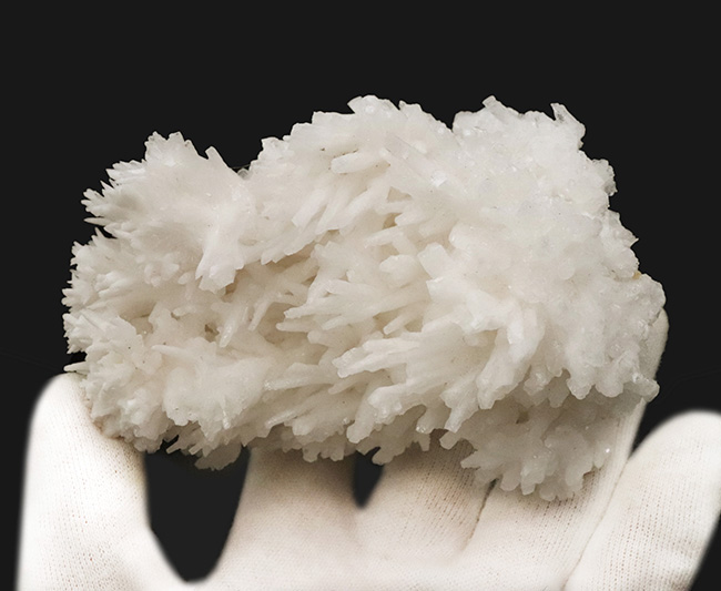 世界的に評価の高い鉱物産地、メキシコ・チワワ州で育まれた大型で密度の高いアラゴナイト／カルサイト結晶群（その5）