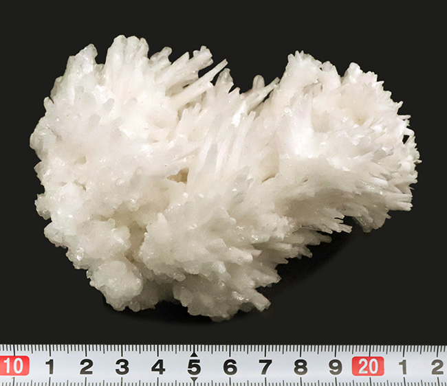 世界的に評価の高い鉱物産地、メキシコ・チワワ州で育まれた大型で密度の高いアラゴナイト／カルサイト結晶群（その7）