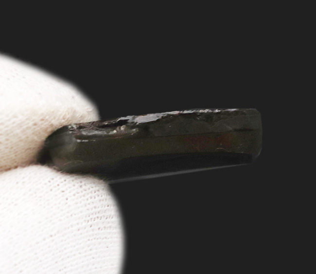 小サイズながらのその輝きは一級!カナダ・アルバータ州が生んだ自然の宝石、アンモライト(Ammolite)のピース(その4)