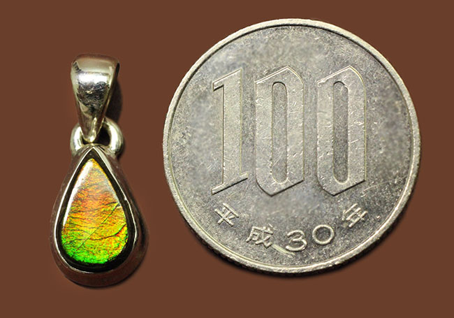 3色の小粋な輝き!ティアドロップ型アンモライト(Ammolite)ペンダントトップ。(2種類のチェーン、高級ジュエリーケース付)(その9)