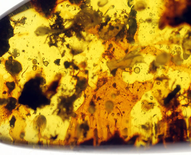 貴重な恐竜時代のビルマ琥珀のカボション。古い時代の琥珀は貴重です。(その3)