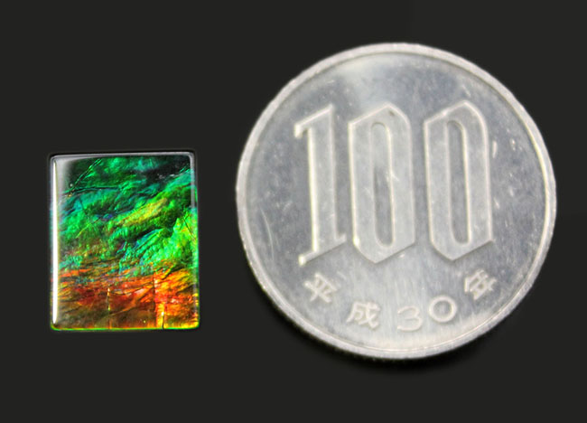 手頃なサイズで使いやすい！カナダ産の上質のアンモライト（Ammolite）のピースを使ったピンブローチ（その7）