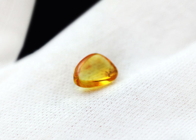 ぜひ高倍率のルーペを片手にお楽しみください!ハチ目の虫を内包したバルト海産の琥珀(Amber)(その8)