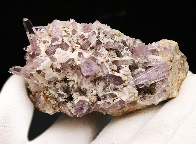 国産ならではのやさしい紫調、鳥取県米子市産アメシスト（Amethyst）クラスター標本（その4）