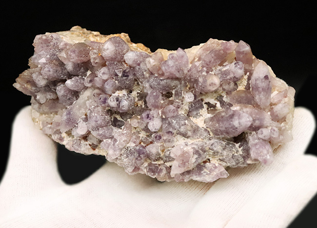 国産ならではのやさしい紫調、鳥取県米子市産アメシスト（Amethyst）クラスター標本（その5）