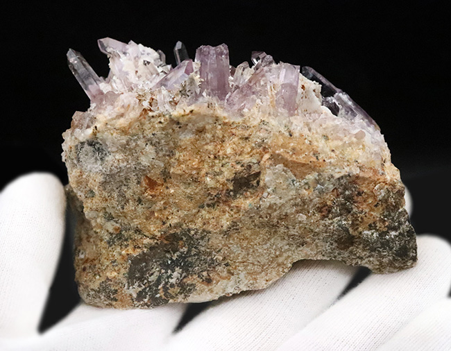 国産ならではのやさしい紫調、鳥取県米子市産アメシスト（Amethyst）クラスター標本（その6）