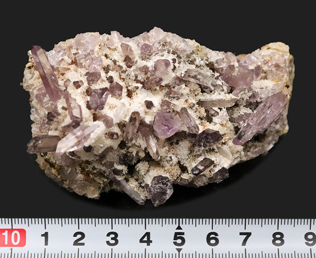 国産ならではのやさしい紫調、鳥取県米子市産アメシスト（Amethyst）クラスター標本（その7）