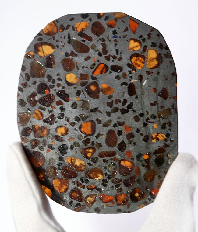 宇宙が造り上げた芸術品！ケニア産パラサイト隕石のスライス標本（その1）