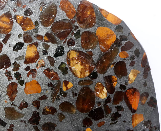 宇宙が造り上げた芸術品！ケニア産パラサイト隕石のスライス標本（その4）