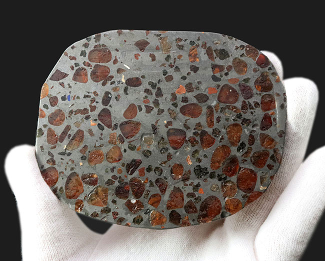 宇宙が造り上げた芸術品！ケニア産パラサイト隕石のスライス標本（その5）