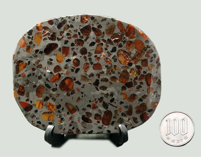 宇宙が造り上げた芸術品！ケニア産パラサイト隕石のスライス標本（その8）