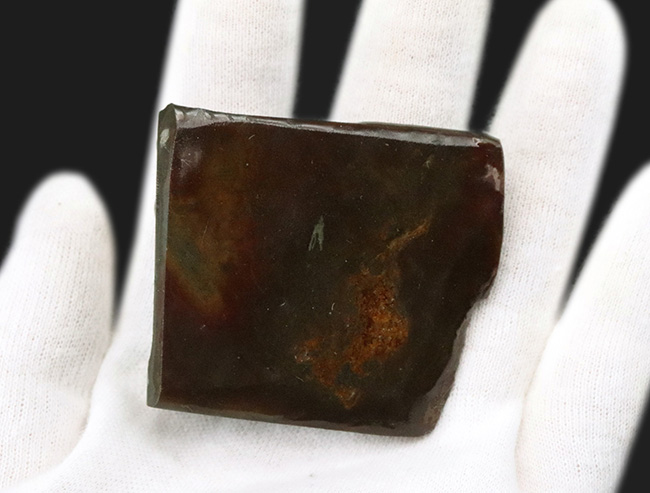 グリーンの鱗状の模様を持つ、美しき宝石、アンモライト(Ammolite)のピース(その5)